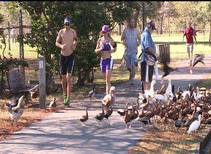 Dodging Birds at Lafreniere Park