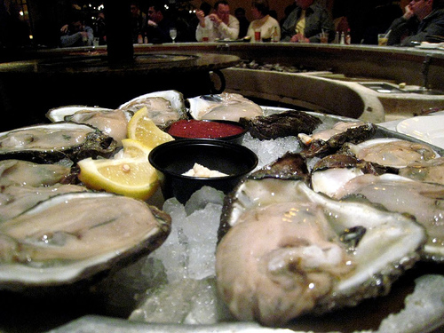 oysters