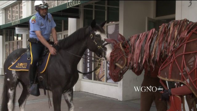 What happends When This Fake Horse Meets The NOPD Mounted Unit