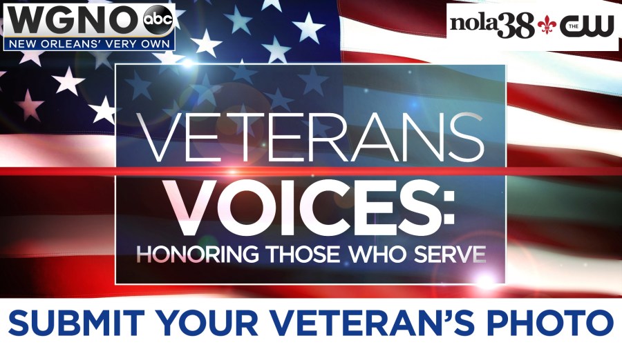 Veterans Voices