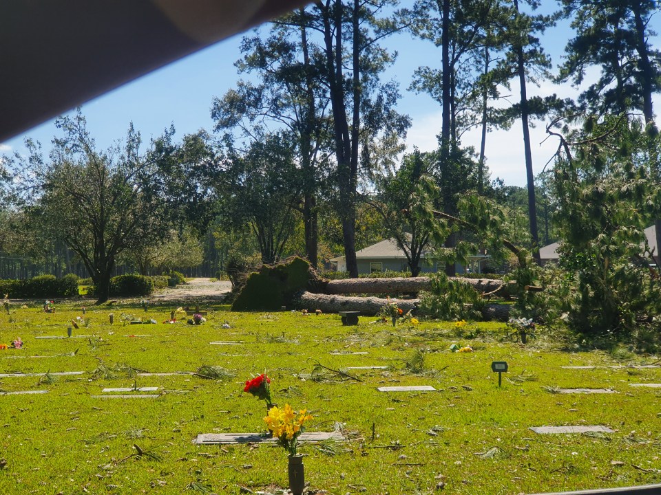 Tree down on cemetery in Covington; EJ Fielding & Sons Funeral Home