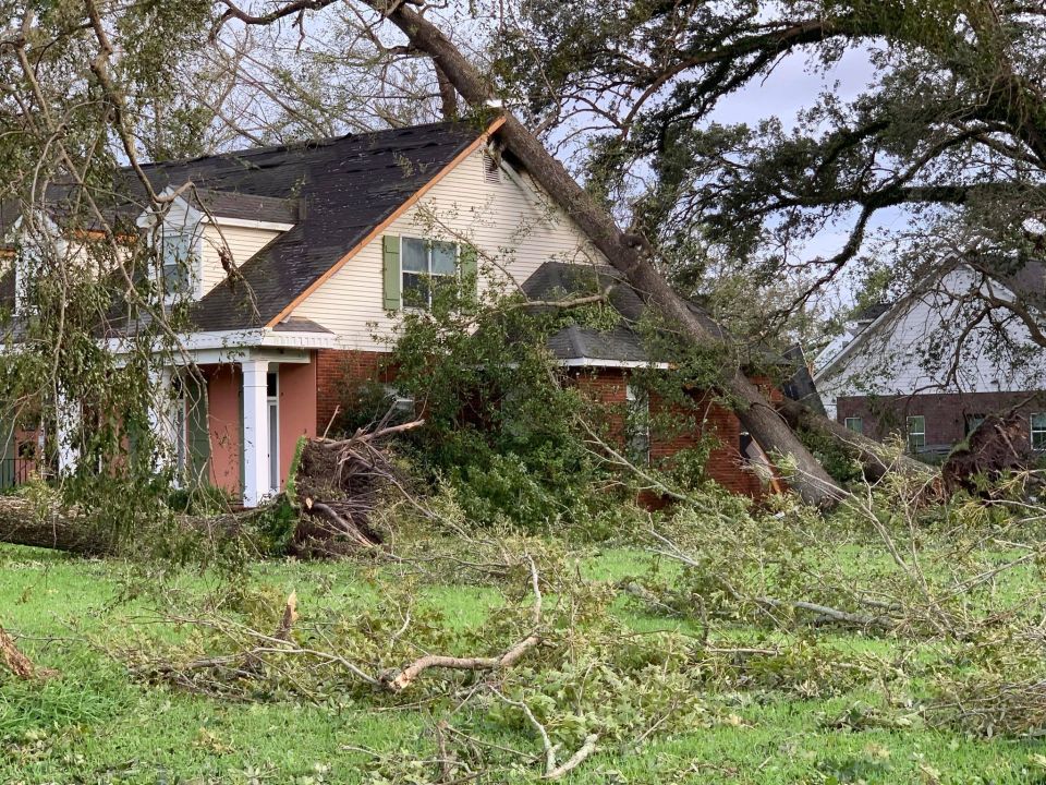 Fallen tree lands on home