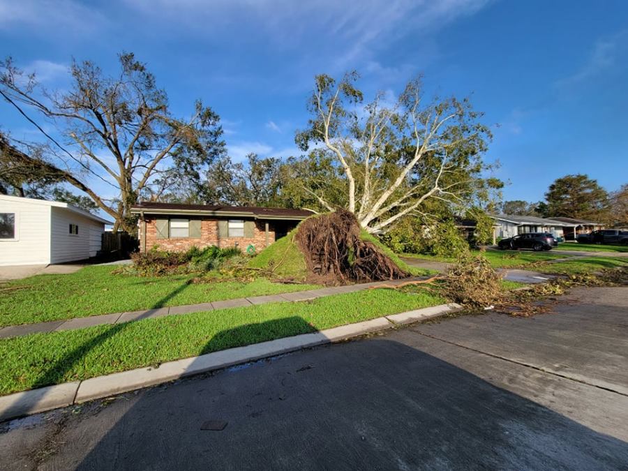 Metairie home crushed by large tree