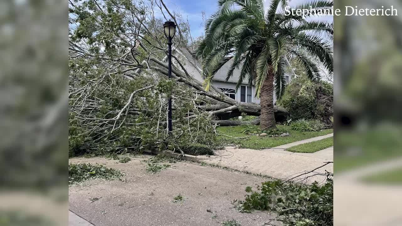 https://digital-staging.wgno.com/news/louisiana/jefferson-parish/gretna-woman-makes-interesting-discovery-after-trees-crashes-into-her-yard/