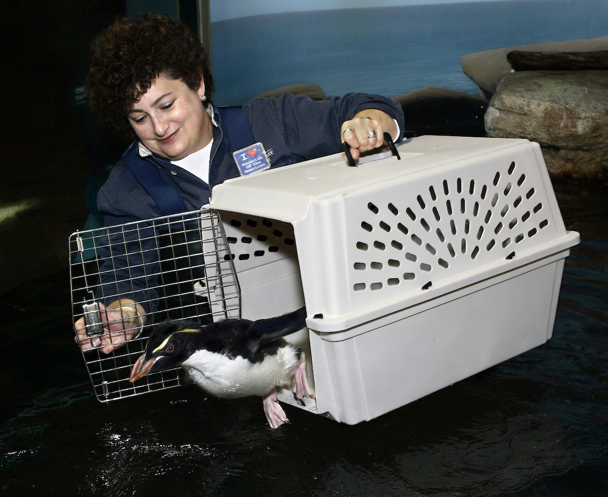 https://digital-staging.wgno.com/news/local/audubon-nature-institue-thanks-betty-white-for-being-a-friend-after-katrina/