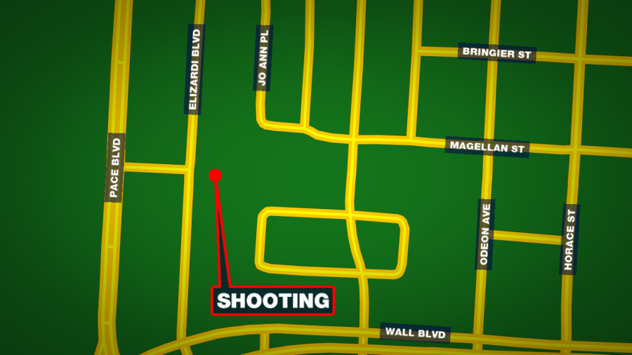 https://digital-staging.wgno.com/news/crime/man-hospitalized-after-algiers-shooting/