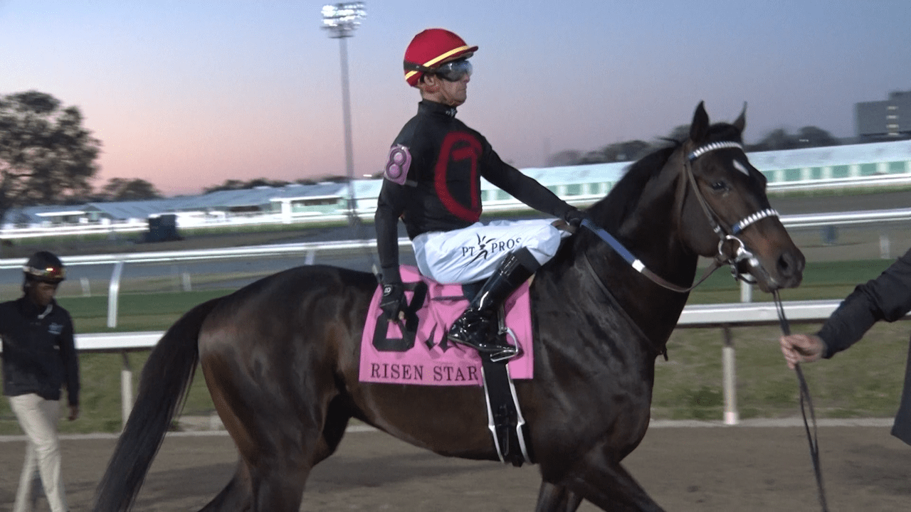 https://digital-staging.wgno.com/news/kentucky-derby-contender-sets-sights-on-nola-fair-grounds-first