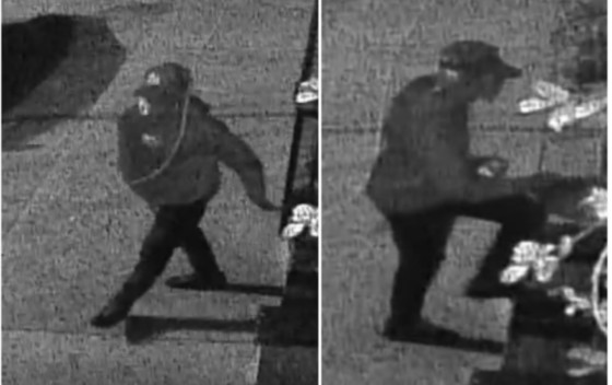 https://digital-staging.wgno.com/news/have-you-seen-this-man-nopd-wants-help-finding-an-armed-robbery-suspect/