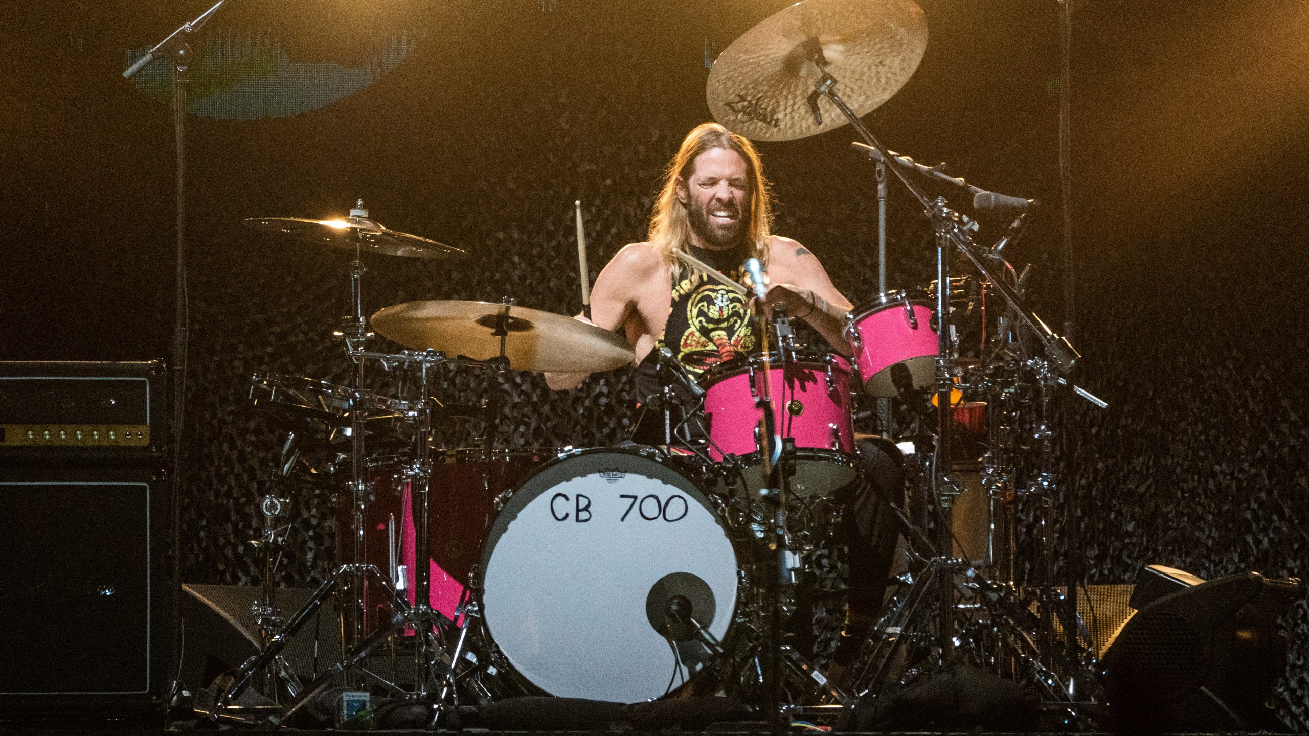 Taylor Hawkins