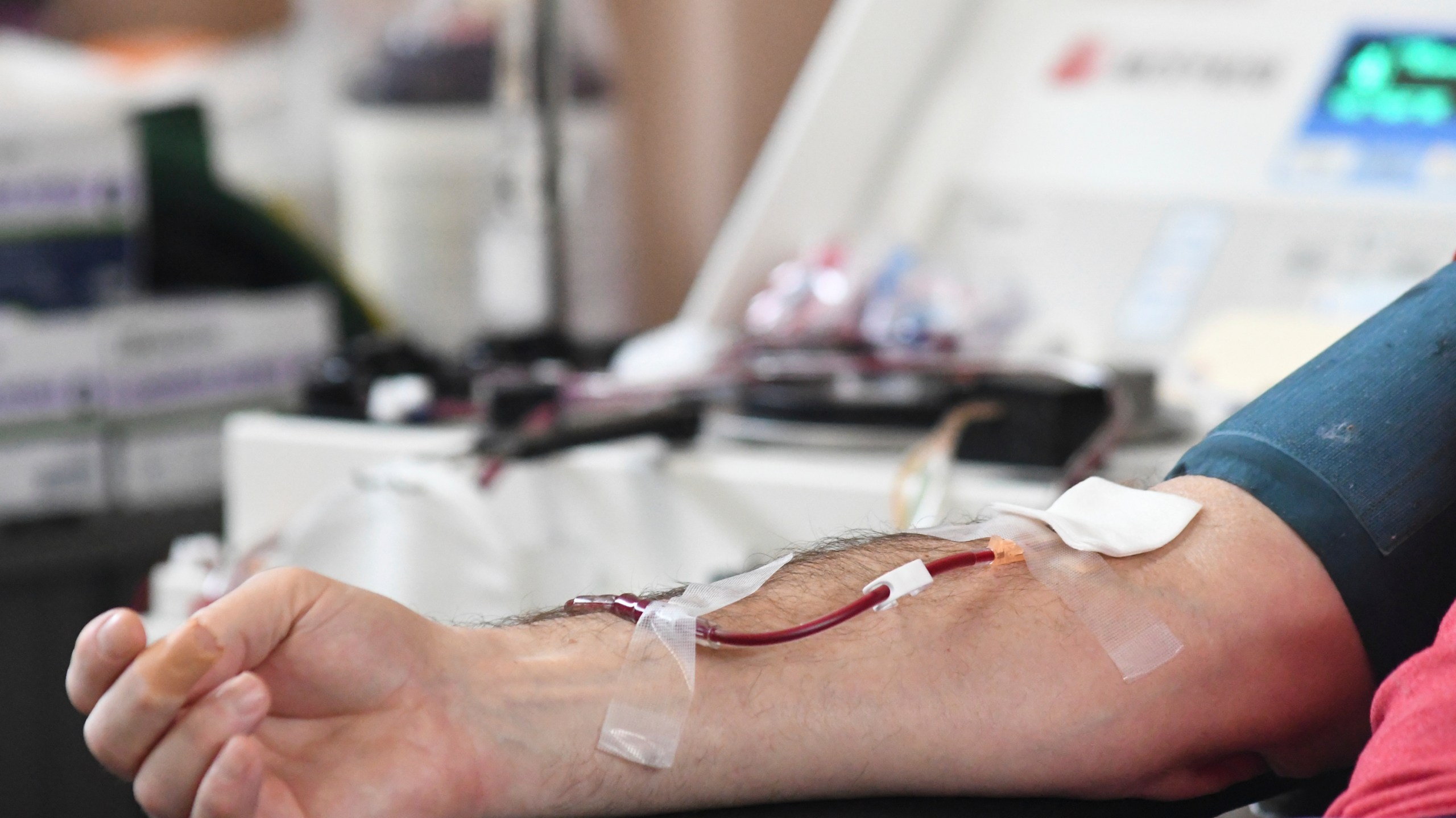 FILE - A person donates blood to the American Red Cross during a blood drive in Pottsville, Pa. on Thursday, Jan. 13, 2022. Gay and bisexual men in monogamous relationships will be able to donate blood in the U.S. for the first time in decades, under a new federal policy finalized Thursday, May 11, 2023, by health regulators.(Lindsey Shuey/Republican-Herald via AP, File)