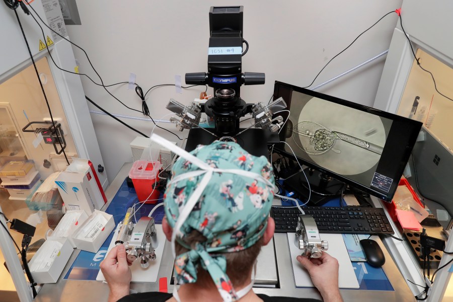 FILE - Lab staff use a microscope stand and articulated hand controls to extract cells from 1-7 day old embryos, shown on the monitor at right, that are then checked for viability at the Aspire Houston Fertility Institute in vitro fertilization lab Feb. 27, 2024, in Houston. According to a new poll from The Associated Press-NORC Center for Public Affairs Research, relatively few Americans fully endorse the idea that a fertilized egg should have the same rights as a pregnant woman. But a significant share – 46% -- say it describes their views at least somewhat well. (AP Photo/Michael Wyke, File)