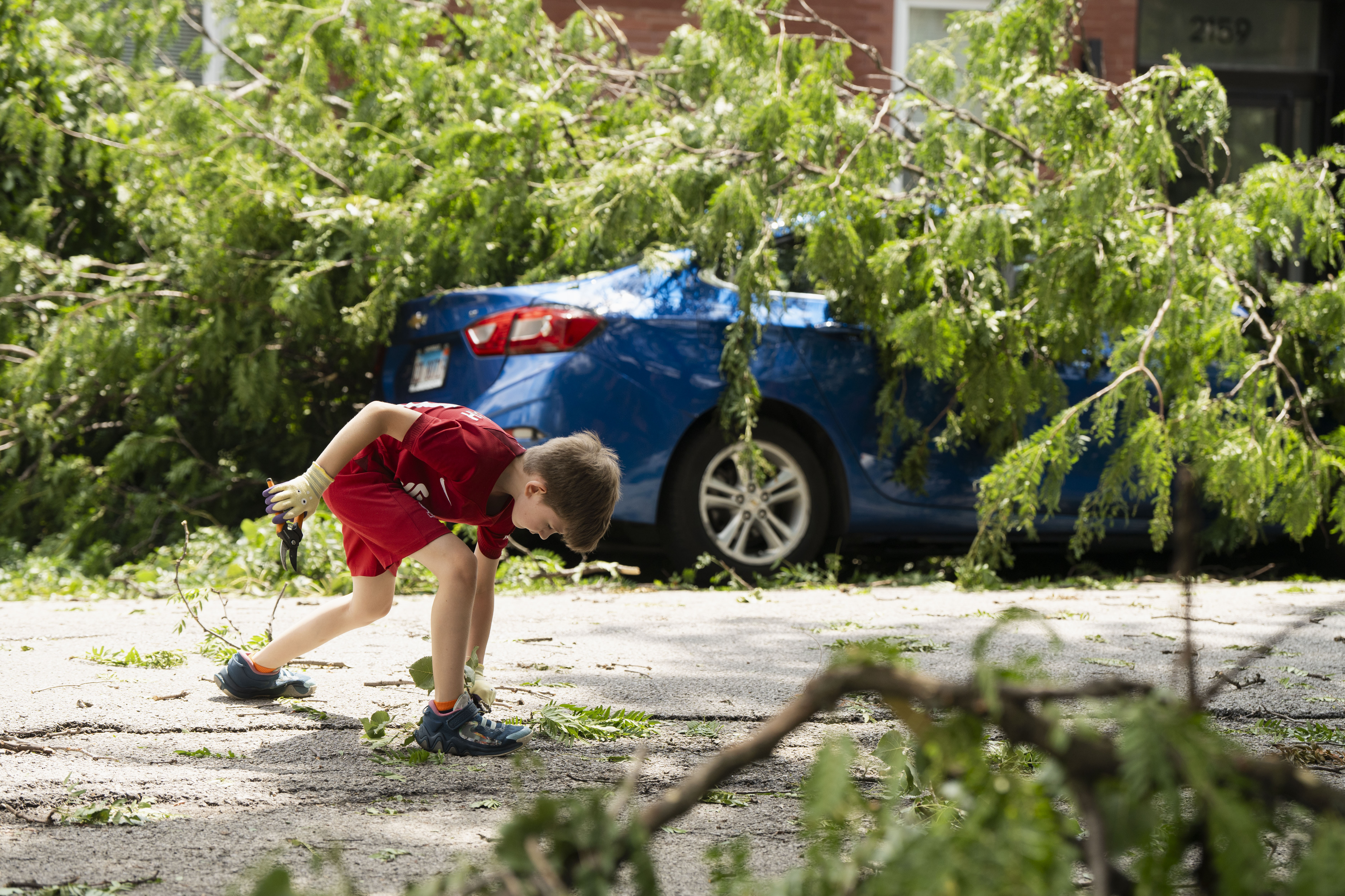 Ezra Solomon, 8, helps clear the road of debris near the intersection of West Huron and North Leavitt streets in Chicago's West Town neighborhood, Tuesday, July 16, 2024, after severe storms passed through the Chicago area the night before. (Pat Nabong/Chicago Sun-Times via AP)